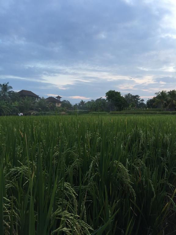 Pondok Buda Merta Ubud Exteriör bild