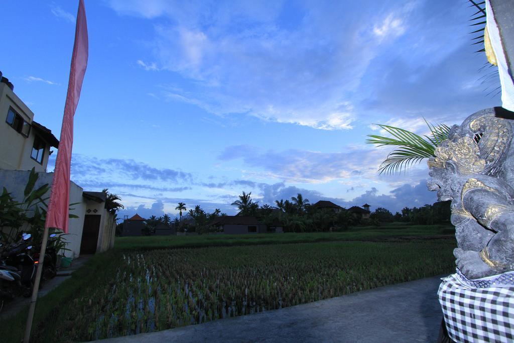 Pondok Buda Merta Ubud Exteriör bild