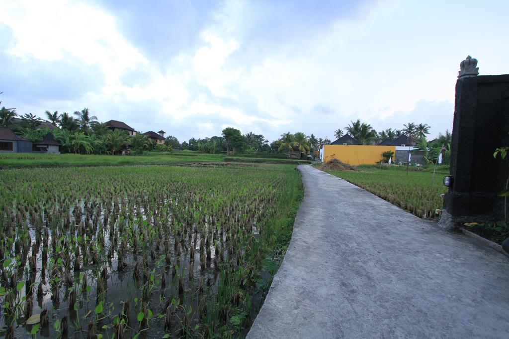 Pondok Buda Merta Ubud Exteriör bild